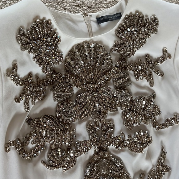 ALEXANDER MCQUEEN gown - Picture 5 of 10